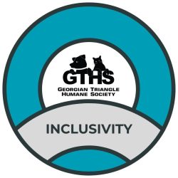 GTHS Inclusivity circle